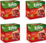 LOYD Tea Meggy-Chili 20x2g (3103276) (3103276)