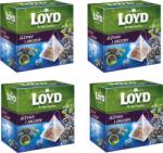 LOYD Tea Szeder-Áfonya 20x2g (3102335) (3102335)