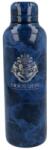 Harry Potter Szigetelett Rozsdamentes Acél Palack 515 ml Harry Potter (00341) (00341)