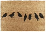 Artsy Mats Kókuszrost lábtörlő 60x90 cm Birds On a Wire - Artsy Doormats