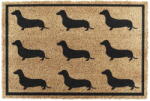 Artsy Mats Kókuszrost lábtörlő 40x60 cm Dachshund - Artsy Doormats