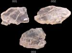  Topaz Alb Natural Brut - 22-50 x 18-36 x 3-26 mm - Esenta Straveche a Purificari - ( XXL ) - 1 Buc