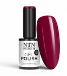 NTN Premium UV/LED Géllakk 204# (HEMA Free)