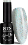 NTN Premium UV/LED 73#