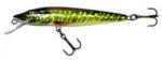 Salmo Vobler Salmo Pike PE11DR PE plutitor 11 cm/16 gr (84491972)