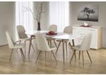 HM Masa living extensibila HM Edward, blat MDF, structura metalica, ovala, 6 persoane, 120-200x100x75 cm, alb stejar (00001750)