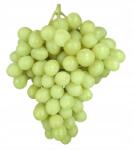  Farma Rohoznice magnélküli fehér szőlő 500 g