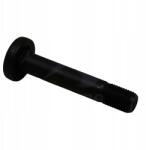 Sampa Csavar, M30x170, BPW, 101130