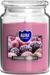 BISPOL Ароматна свещ Bispol Aura - Frozen Berries, 500 g (snd99-314)