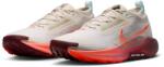 Nike Férfi futócipő Nike PEGASUS TRAIL 5 GORE-TEX FQ0908-104 - EUR 44, 5 | UK 9, 5 | US 10, 5 Férfi futócipő