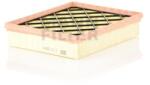 Mann-Filter Filtru Aer C250081 pentru Ford (C250081)
