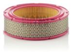 Mann-Filter Filtru Aer C21352 pentru Renault Car (C21352)