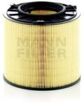 Mann-Filter Filtru Aer C17013 pentru VW Groupe (C17013)