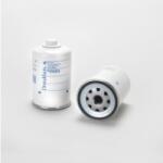 Hifi Filter Filtru combustibil Donaldson P956054 pentru Hifi Filter SN70521 (SN70521)