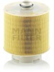 Mann-Filter Filtru Aer C171371X pentru VW Groupe (C171371X)