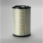 HITACHI Filtru Aer P821938 pentru HITACHI 4286128HCS (4286128HCS)
