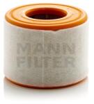 Mann-Filter Filtru Aer FAR86162 pentru VW Groupe (FAR86162)