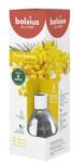 Bolsius Odorizant Difuzor cu Betisoare Bolsius True Scents, Mimosa, 60 ml (LCA-TRU-DIFT60-56-TS)
