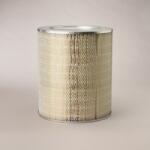 Hifi Filter Filtru aer Donaldson P181036 pentru Hifi Filter SA11821 (SA11821)