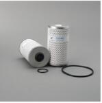 Mitsubishi Filtru Combustibil P550463 pentru Mitsubishi MB504757 (MB504757)