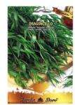 Raci Sementi Seminte de Tarhon, Dragoncello, 3 g, Raci Sementi (ADS-121)