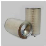 FIAT Filtru Aer P181042 pentru FIAT 745304600 (745304600)