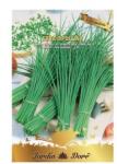 Raci Sementi Seminte de Ceapa de Tuns, Chives, 1 g, Raci Sementi (ADS-879)