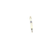 Bosch Bujie incandescenta BOSCH 0250213007