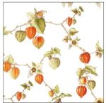 Ambiente Lampion papírszalvéta 25x25cm, 20db-os