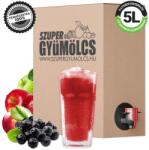 Szupergyümölcs Berkenye lé almával - Fekete berkenye és alma 100% gyümölcslé - prémium, hidegen préselt, 5L Bag-in-Box