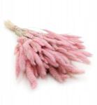 Enchanted Setaria hajvirág (Setarea) Rózsaszín csokor (SUSZONE PROSO ROZOWE)