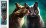 NORIMPEX - Puzzle Tablou Diamant: Dragoste de pisică 30x40cm - 1 - 39 piese