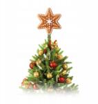 Tescoma Karácsonyi csillag készítő, 17cm átmérő, zöld, barna, bézs színek (631414.00)