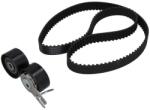 KAMOKA Set curea de distributie KAMOKA 7001035 (7001035)