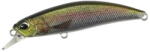 Duo Vobler Duo Spearhead Ryuki 60S 6cm 6.5g Rainbow Trout ND (DUO98728)