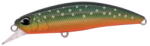 Duo Vobler Duo Spearhead Ryuki 60S 6cm 6.5g Iwana ll (DUO13520)