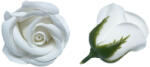  Szappanrózsafej 5x6cm fehér