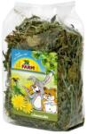 JR FARM Gyermekláncfű 100g (JR07101)
