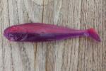 Realistic Shad Gumi Realistic Shad Matusiak Jazgarz 9cm No. 047 (J9 047)