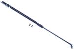 Denckermann Amortizor portbagaj DENCKERMANN G110150 (G110150)