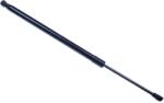 Denckermann Amortizor portbagaj DENCKERMANN G110180 (G110180)