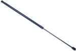 Denckermann Amortizor portbagaj DENCKERMANN G110455 (G110455)