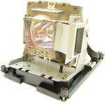 BenQ 5J. J0W05.001 lampă generică cu modul (5J.J0W05.001)