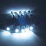 V-TAC Modul LED SMD5050 12V 0.24W 22lm 6000K alb rece IP68 12x22mm V-TAC (SKU-5136)