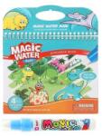 Toi-Toys Carte de colorat cu apa Dino Toi-Toys TT46845B (E355107) Carte de colorat