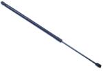 Denckermann Amortizor portbagaj DENCKERMANN G110291 (G110291)