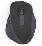 Hama WM-500 (173081) Mouse