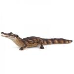 Papo Figurina Caiman (50311) Figurina