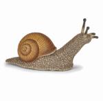 Papo Figurina Snail (50262) Figurina