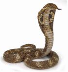 Papo Figurina Sarpe Cobra (50164) Figurina